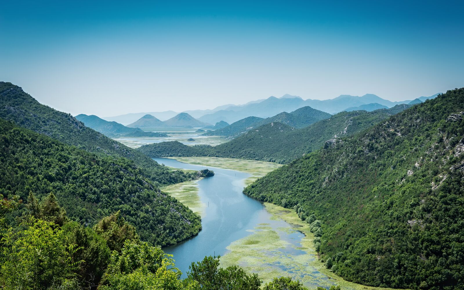 Featured story image