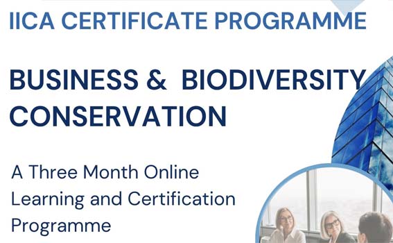 School of Business Environment Announces